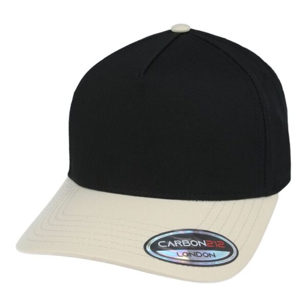 Frame Two-Tone Cap